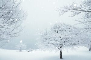 【悲報】月曜日、大雪に。関東でも積雪か?帰宅難民⛄
