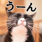 【議論】株はギャンブルなのか？？？？？？？？？？？？？？？？？？？？？？？？？？？