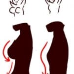 【議論】おっぱい or ちっぱい、どちらが好きですか！？
