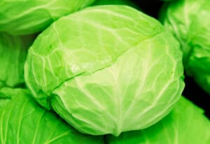 【悲報】キャベツ1個の値段→現在の価格、知ってますか!?