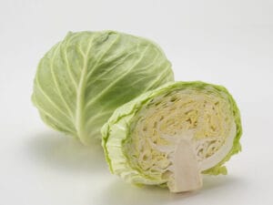 【朗報】キャベツ、やっと値下がりした模様