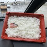 【画像】日本の弁当ここまで貧しくなるwwwwwwwwwwwww