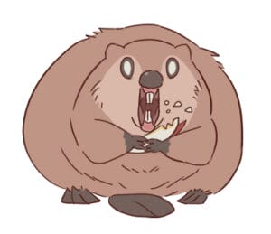 【画像】ビーバーさん、人骨で巣をつくってしまうｗ